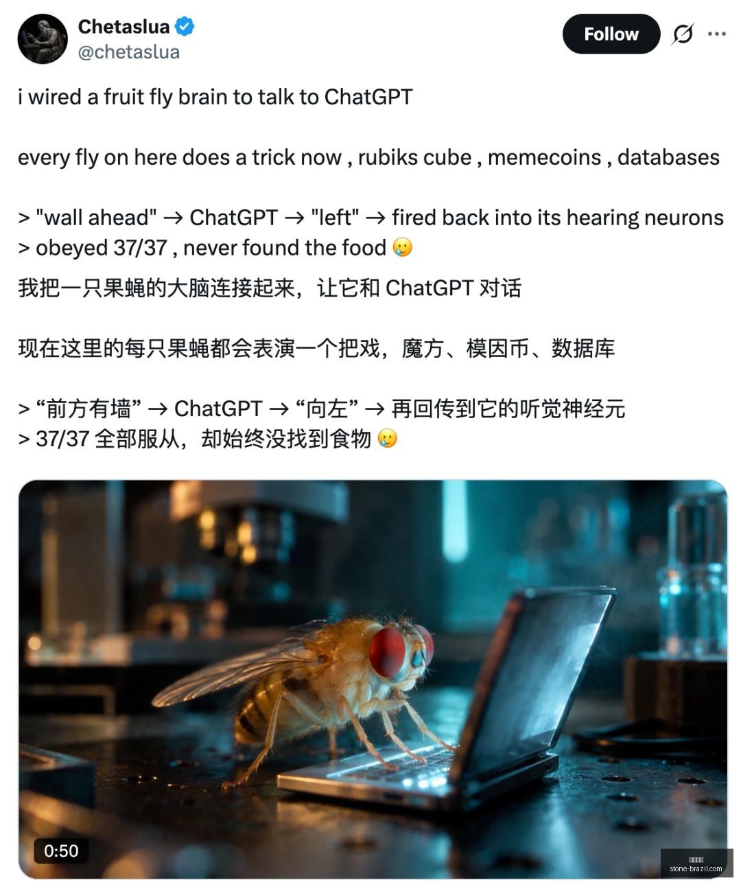 腾讯电竞盛,典星光熠熠,电竞时尚新,开云体育,体育赛事,运动分析,在线体育平台,开云体育APP,体育新闻,开云体育直播,体育数据,体育娱乐,体育社区,开云体育官网