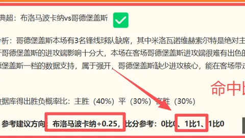 哥斯达黎加瓜达卢普深度分析体育社区：比赛亮点与比分预测